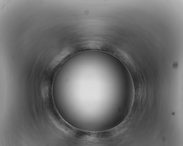X0000089360120200706221208