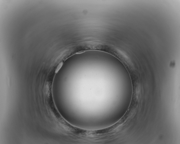 X0000089360121200706221208
