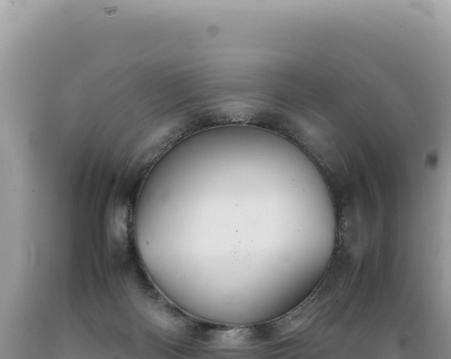 X0000089360122200706221208