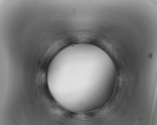 X0000089360123200706221208