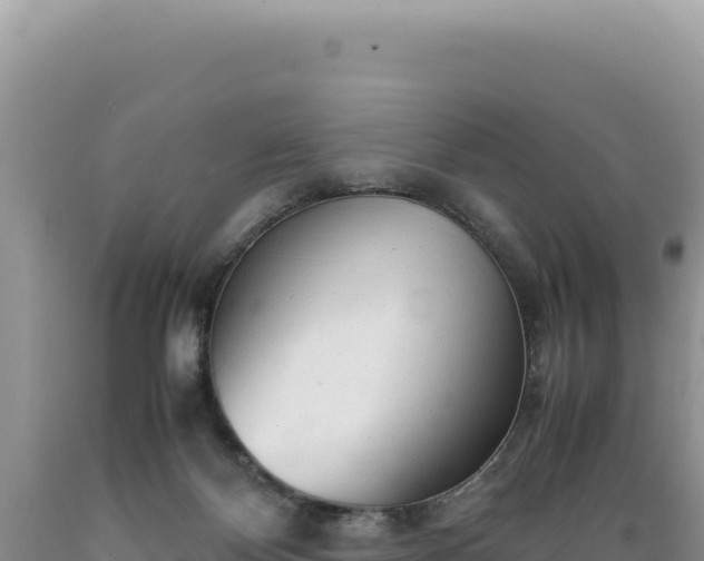 X0000089360124200706221208