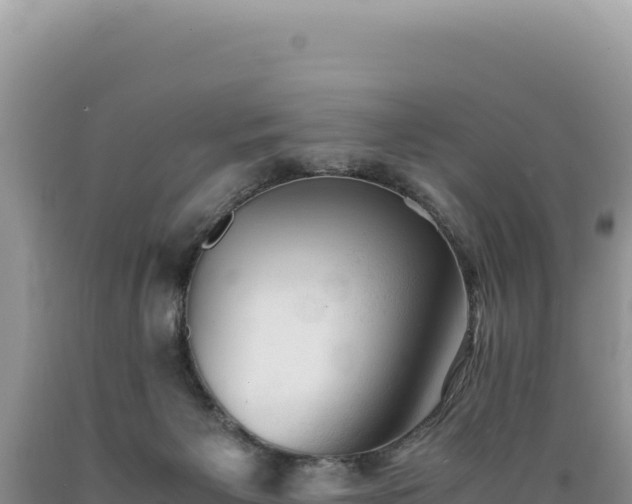 X0000089360125200706221208