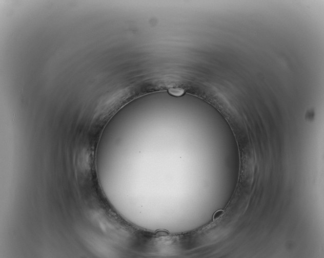 X0000089360126200706221208