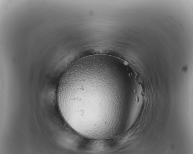 X0000089360127200706221208