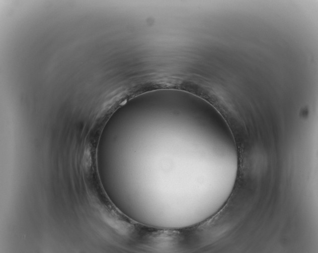 X0000089360128200706221208