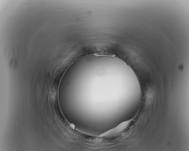 X0000089360129200706221208
