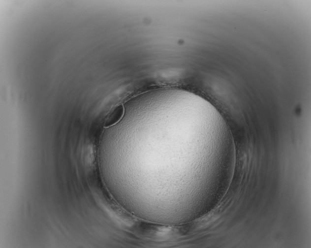 X0000089360130200706221208