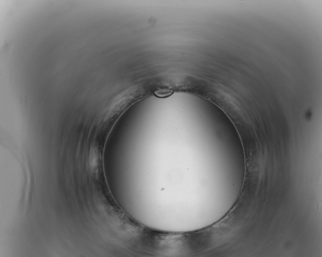 X0000089360132200706221208