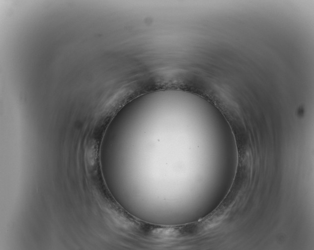 X0000089360133200706221208