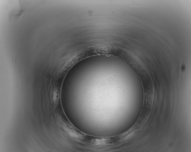 X0000089360134200706221208