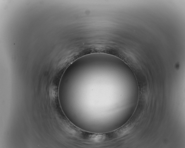X0000089360135200706221208