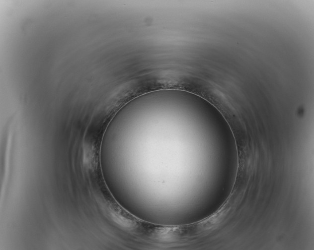X0000089360136200706221208