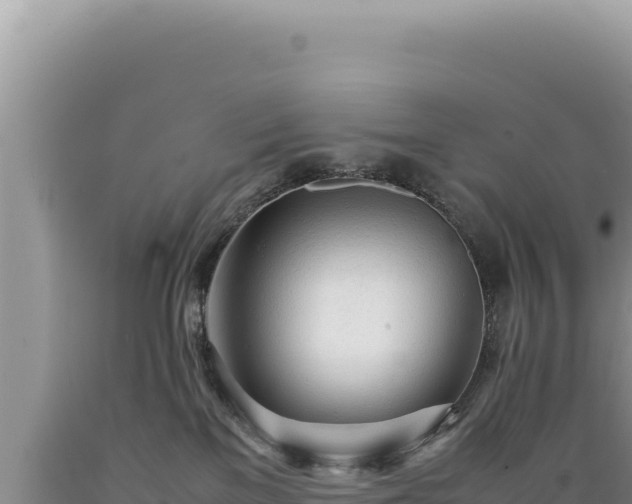 X0000089360137200706221208