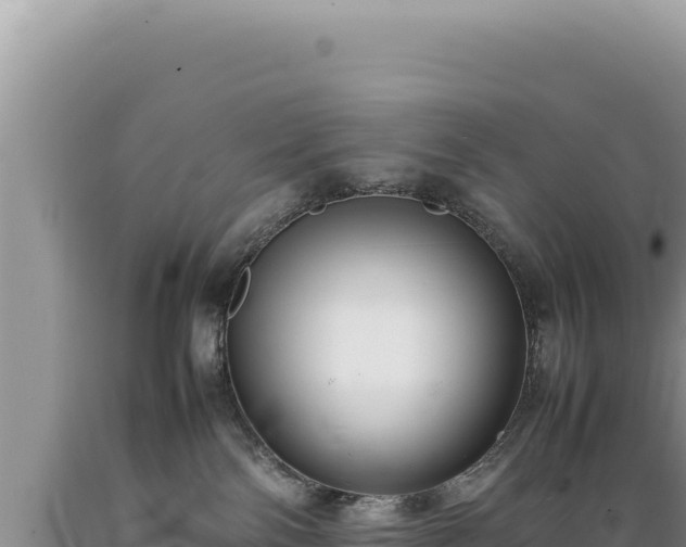X0000089360138200706221208