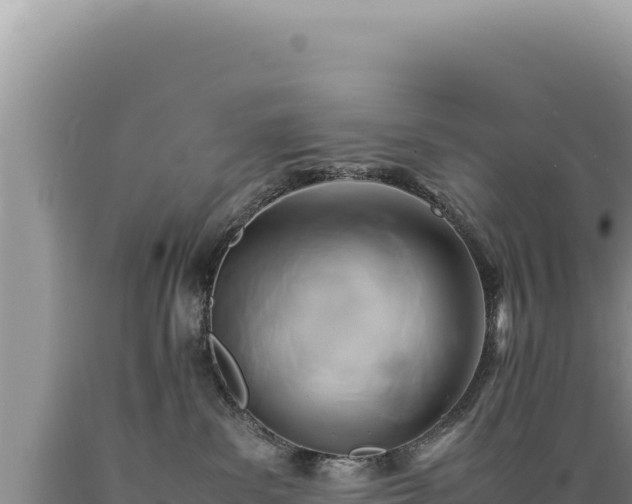 X0000089360139200706221208