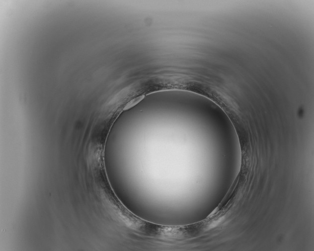X0000089360141200706221208