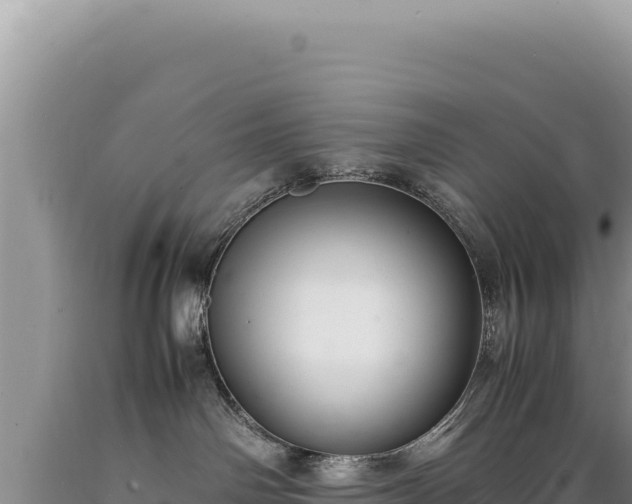 X0000089360142200706221208
