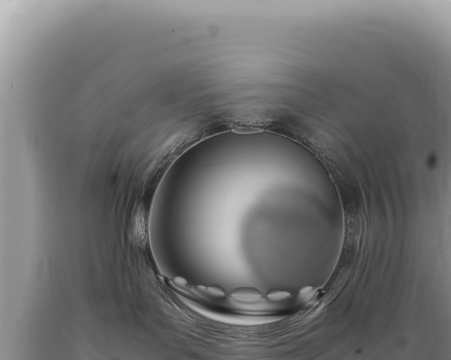 X0000089360143200706221208