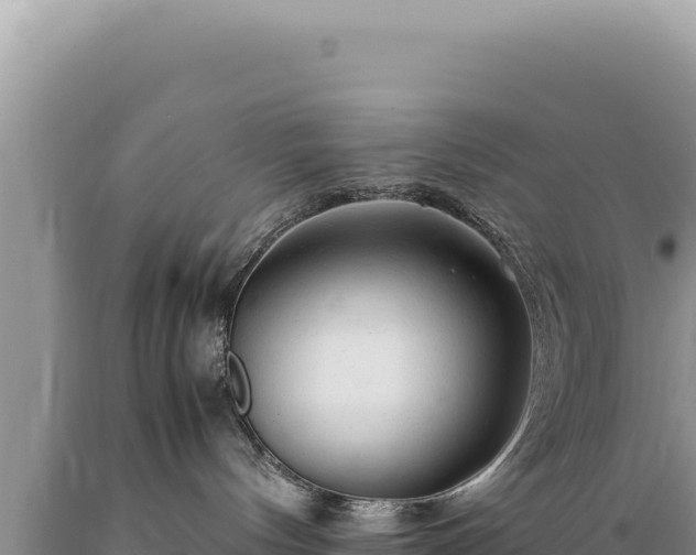 X0000089360144200706221208