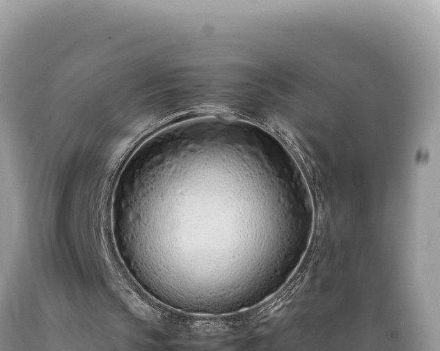 X0000089360145200706221207