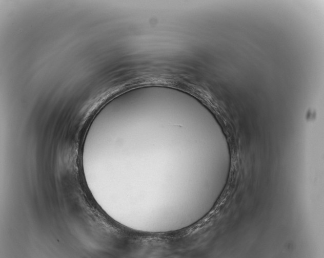 X0000089360146200706221207