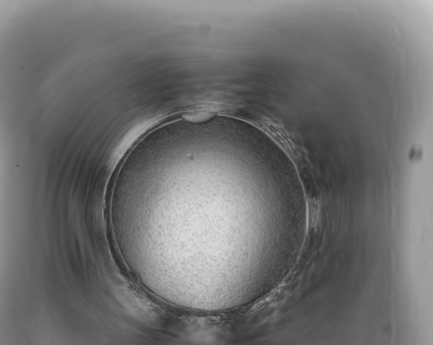 X0000089360147200706221207