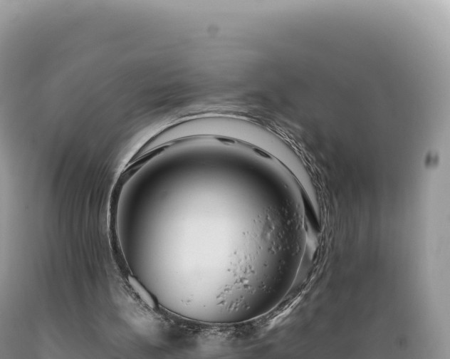 X0000089360148200706221207