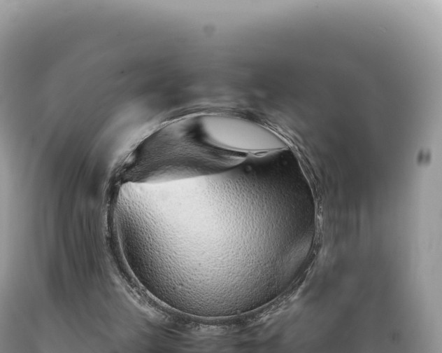 X0000089360149200706221207