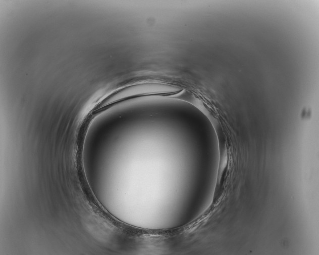 X0000089360150200706221207