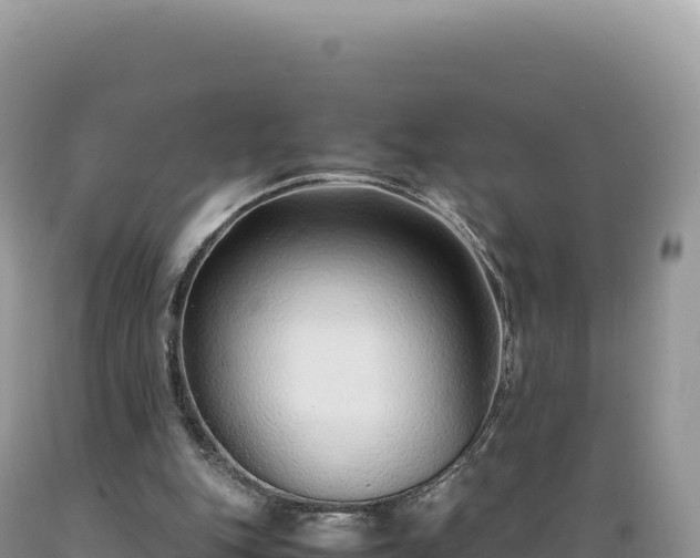 X0000089360151200706221207