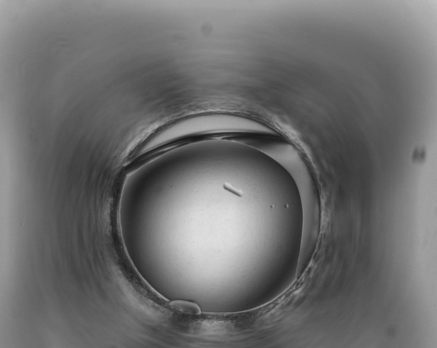 X0000089360154200706221207