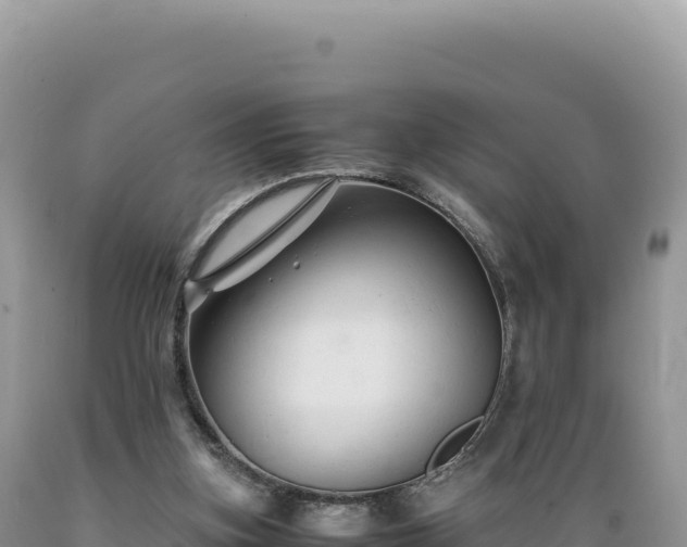 X0000089360155200706221207