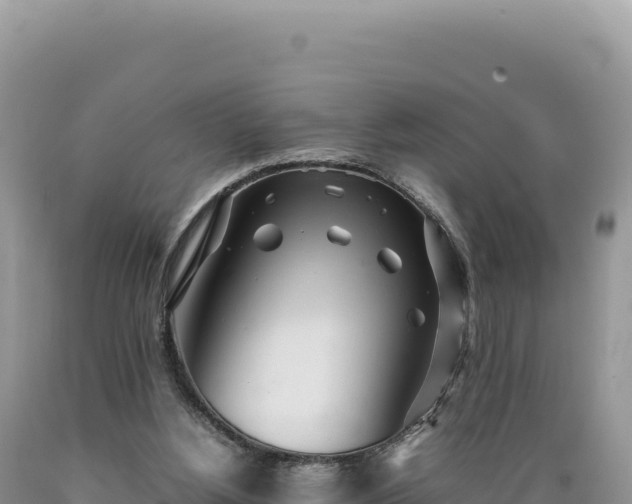 X0000089360156200706221207