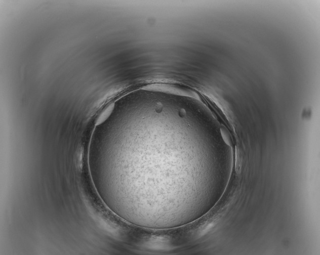 X0000089360157200706221207