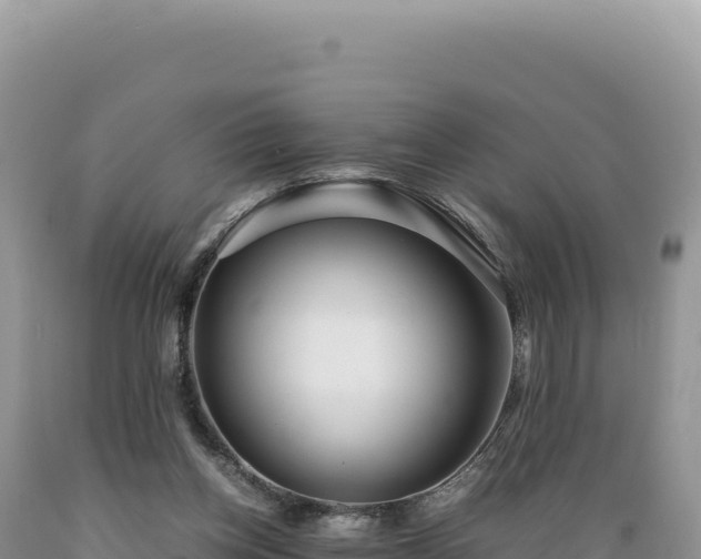 X0000089360158200706221207