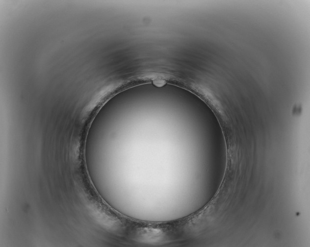 X0000089360159200706221207
