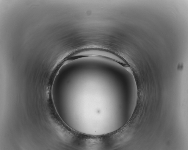 X0000089360160200706221207