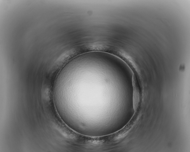X0000089360161200706221207