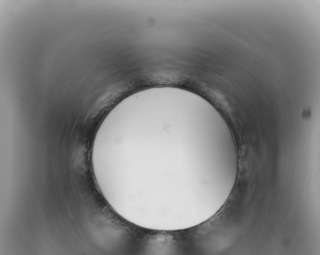 X0000089360162200706221207