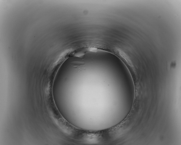 X0000089360163200706221207