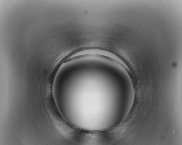 X0000089360164200706221207