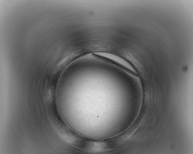 X0000089360165200706221207