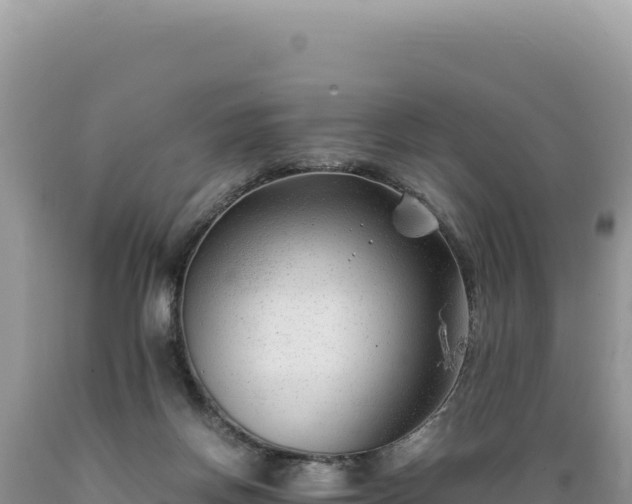 X0000089360166200706221207