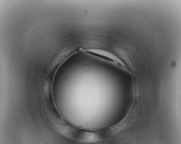 X0000089360167200706221207