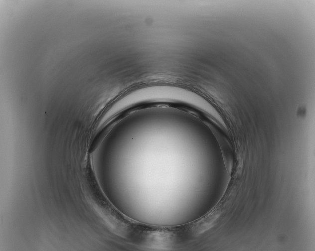 X0000089360168200706221207