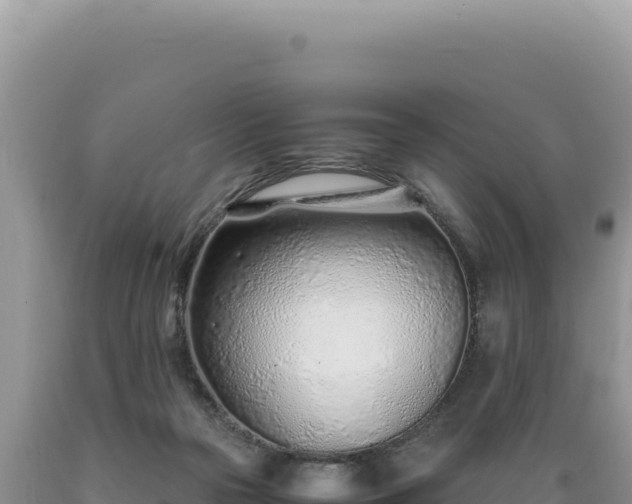 X0000089360169200706221207