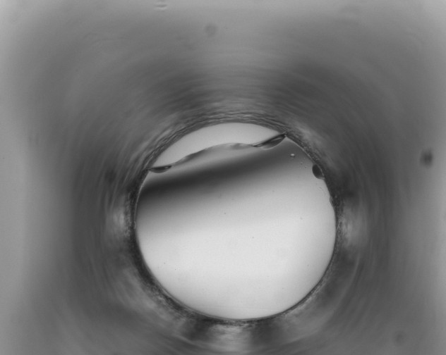 X0000089360170200706221207