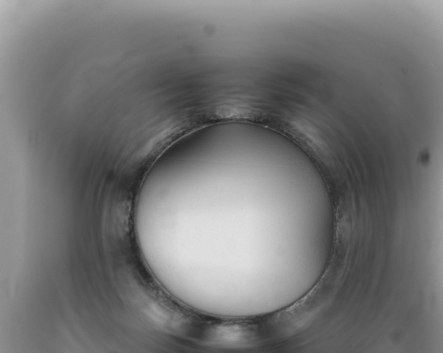 X0000089360171200706221207