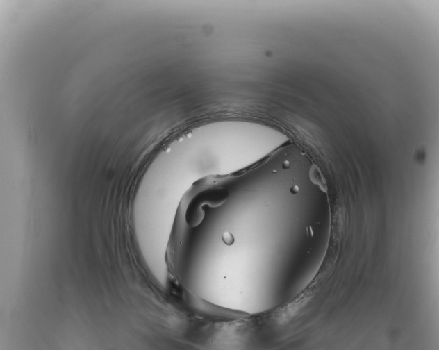 X0000089360172200706221207