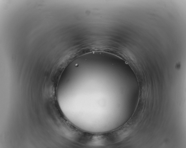 X0000089360173200706221207